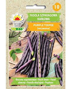 СЕМЕНА ФАСУЛ АСПЕРЖОВ ЛИЛАВ Purple Teepee - 30Г - ТОРАФ