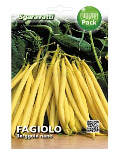 Семена фасул Bergold`SG