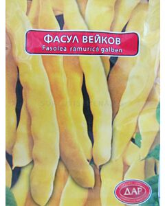 Сорт фасул Чудото на Венеция-жълт. Аграра ООД. Сортови семена Варна.