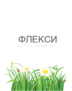Флекси - 5 л