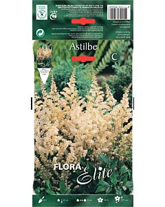 Астилбе бяло - Astilbe arendsii white - 1 оп