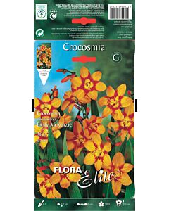 Крокосмия Емили - Crocosmia crocosmiiflora Emily Mckenzie - 1 оп