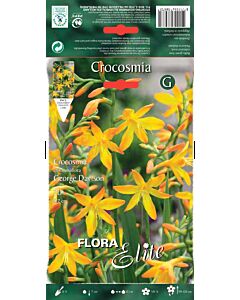 Крокосмия Джордж - Crocosmia George Davison