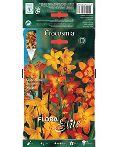 Крокосмия микс - Crocosmia crocosmiiflora mixed