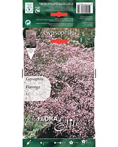 Гипсофила Фламинго - Gypsophila Flamingo