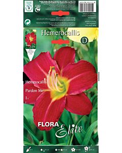 Хемерокалис - Hemerocallis Pardon Me
