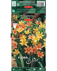 Хомерия  микс - Homeria (1 оп. - 10 бр)