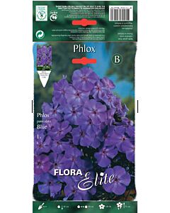 Флокс син - Phlox paniculata blue