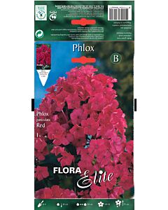 Флокс червен - Phlox paniculata red