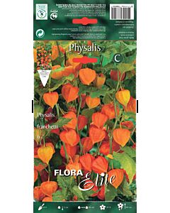 Физалис - Physalis franchetti 