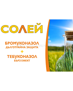 Солей