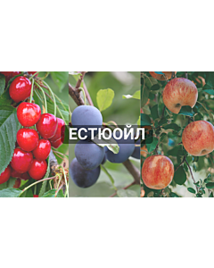 Естюойл