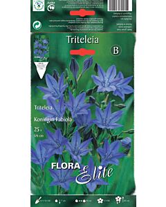Трителея - Triteleia Koningin Fabiola - 25 бр