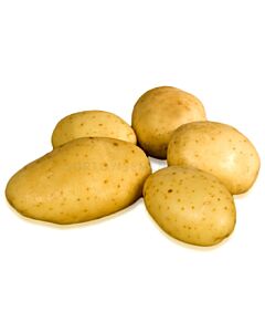 Семе Картофи Сюриа 5 кг