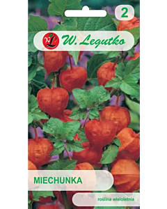 СЕМЕНА ФИЗАЛИС  - ЛГ