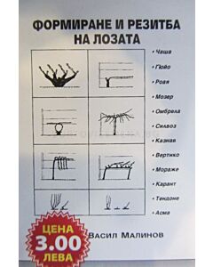 Формиране и резитба на лозата