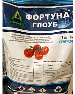 Фортуна Глоуб 