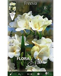 Фрезия Бяла (1 оп-10 луковици)