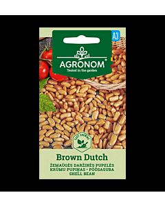 СК СЕМЕНА ФАСУЛ НИСЪК BROWN DUTCH - 8 г