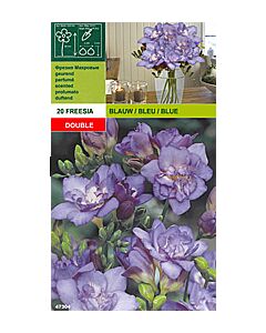 Фрезии Кичести - сини - 20 бр