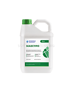 Маестро ВГ