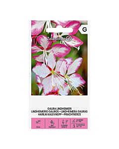 СК СЕМЕНА ГАУРА Rose - white