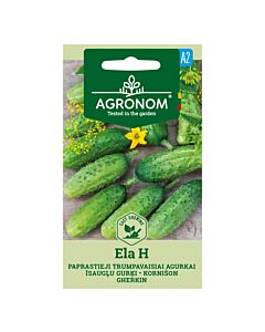 СК КОРНИШОНИ ЕЛА Х CUCUMBER, ELA H