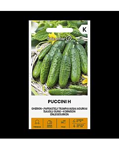 СК СЕМЕНА КОРНИШОНИ PUCCINI H - 0,5 г