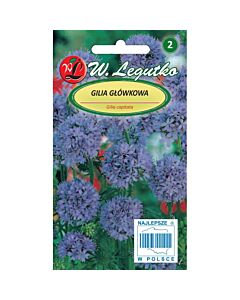 ЛГ ДЖИЛИА Gilia capitata blue