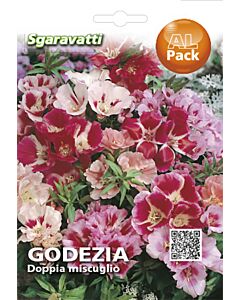 Семена Годеция кичеста`SG