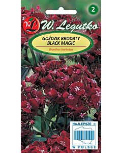 Семена Топ карамфил черен / Dianthus Black Magic /LG 1 оп