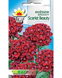 Семена Китайски карамфил/ Scarlet Beauty/ TF-1 гр