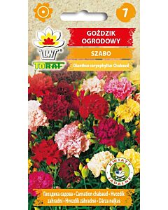 Градински карамфил Шабо микс - Dianthus caryophyllus- 0,5 g