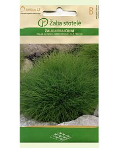 Семена Фестука зелена / FESCUE GREEN / 'SK -1 оп