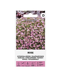 СК Семена ГИПСОФИЛА REPENS ROSE