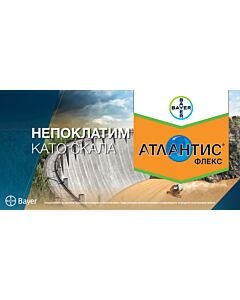 АТЛАНТИС ФЛЕКС 20.25ВГ - 3 кг