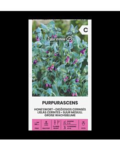 СК МЕДЕНО ЦВЕТЕ HONEYWORT PURPURASCENS