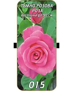 Храстовидна роза 015