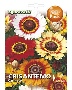 Семена Хризантема`SG