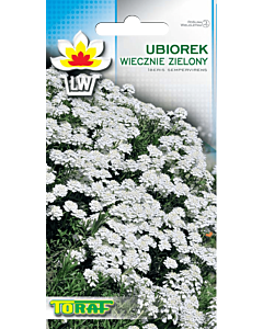 Иберис – вечнозелен -0,3 г