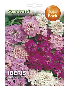Семена Иберис`SG