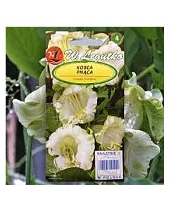 Кобея бяла / Cobaea scandens white / LG 1 оп
