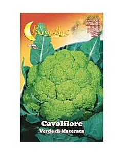Карфиол VERDE MACERATA - MEGA PACK - BL