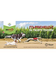 Инпут 5 л