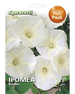 Семена Ипомея Бяла`SG 