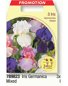 Ирис germanica mixed - 1 пакет - 3 броя