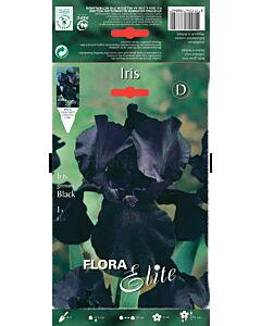 Ирис черен /Iris germanica black / 1 оп ( 1 бр )