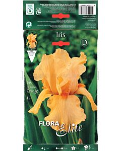 Ирис оранж / Iris germanica orange / 1 оп ( 1 бр )