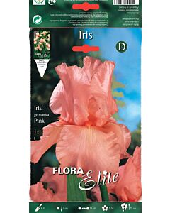 Ирис розов / Iris germanica pink / 1 оп ( 1 бр )