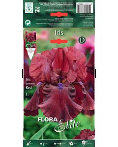 Ирис червен / Iris germanica red / 1 оп ( 1 бр ) 